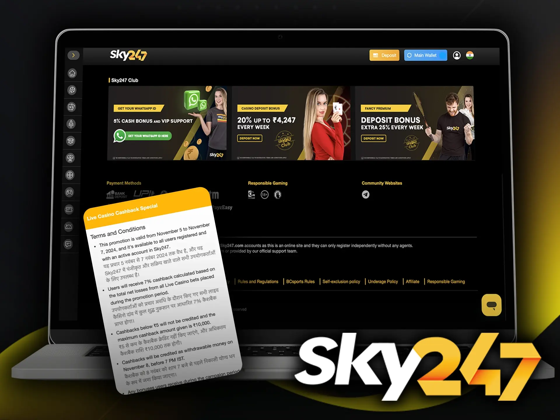 Review the specific rules regarding wagering and usage for all Sky247 offers.