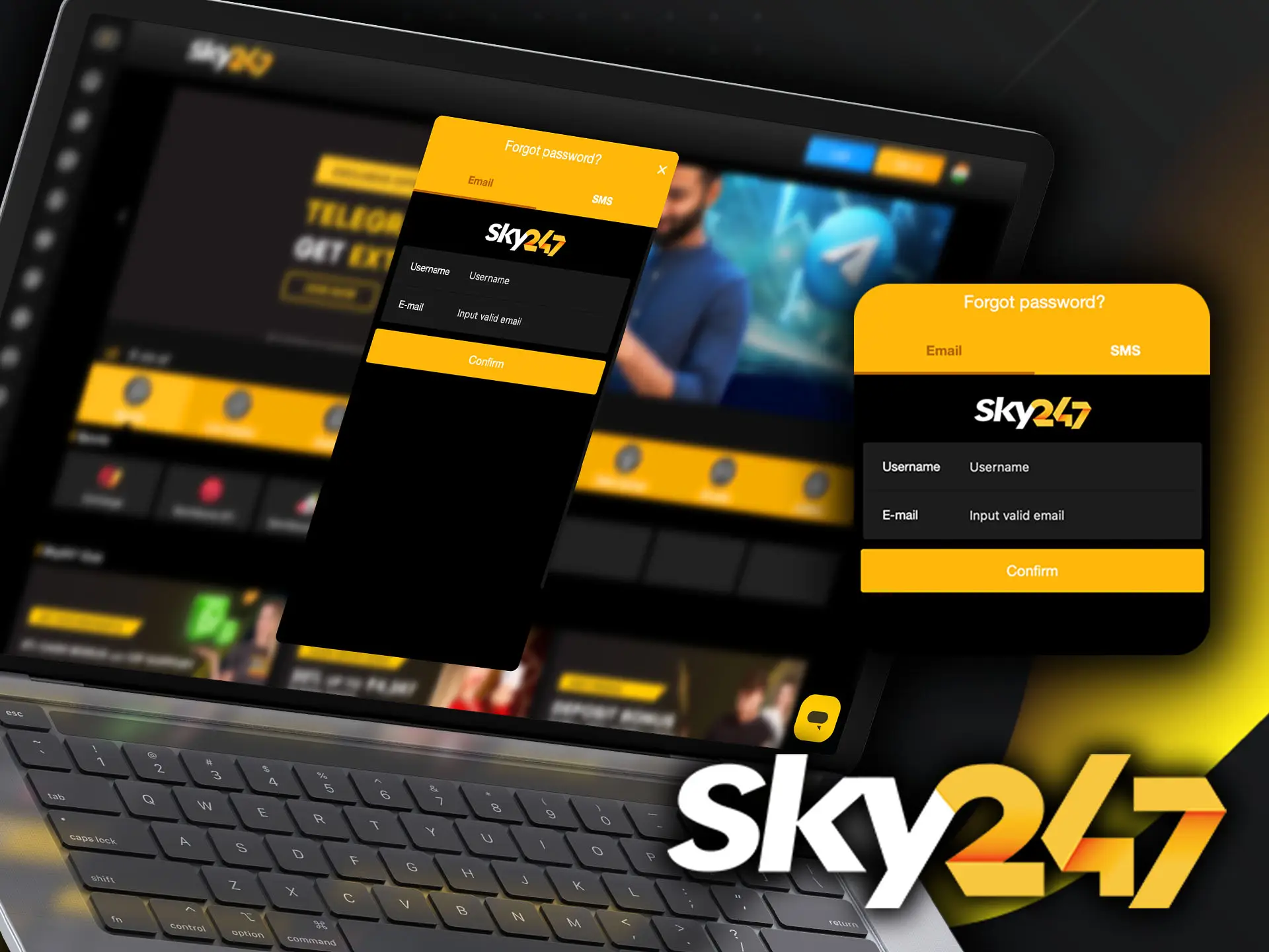 The Sky247 interface is intuitive, making password recovery quick and hassle-free.