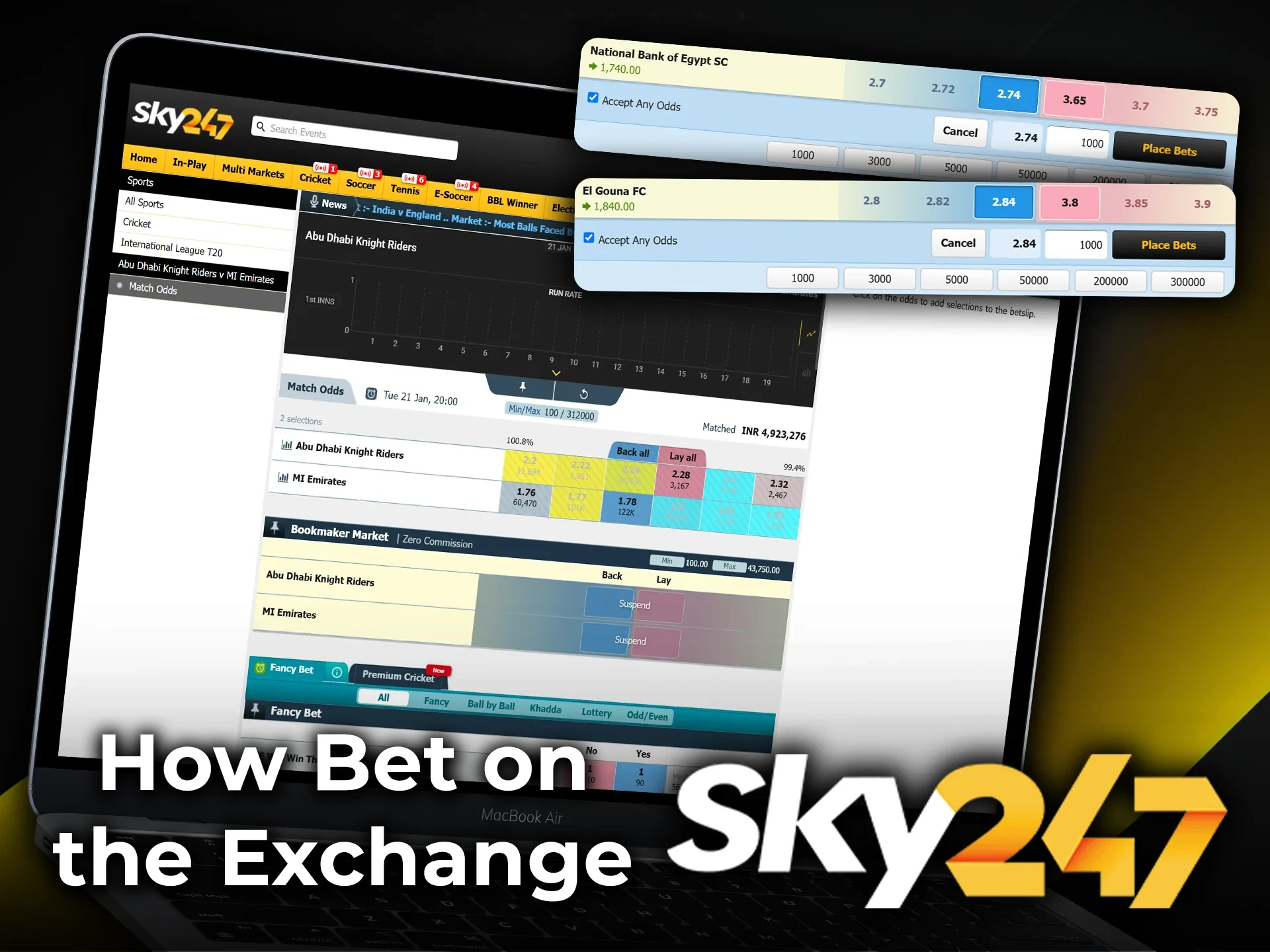 Follow our simple guide to place your first exchange bet at Sky247.