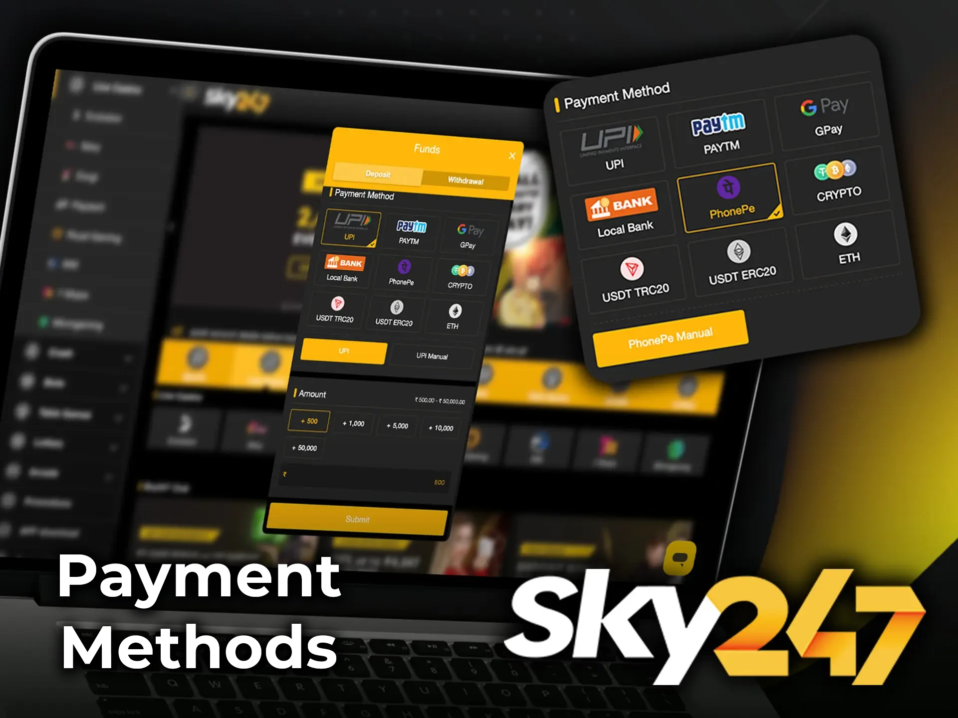 Experience seamless and rapid funding of your account with Sky247's user-friendly payment systems.